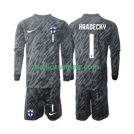Maillot de Foot Finlande HRADECKY 1 Gardien Domicile 2024 Manches Longues - Enfant Maillot de Foot Finlande HRADECKY 1 Gardien Domicile 2024 Manches Longues - Enfant
